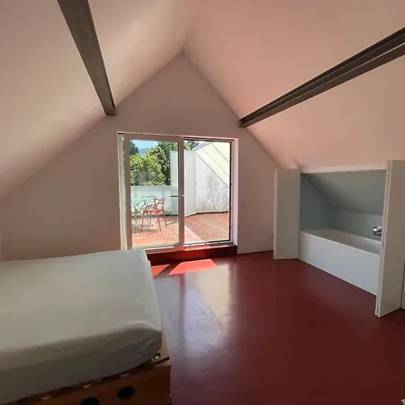 公寓 Sonnige Lichtquelle Am Bodensee 布雷根茨